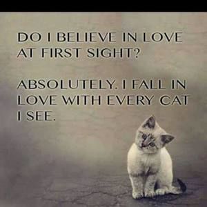 Meet your Posher, Kelli